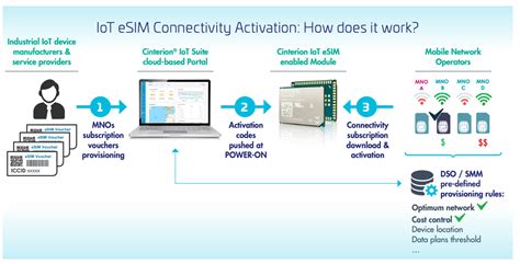 Smart Metering Via Cellular Connectivity 